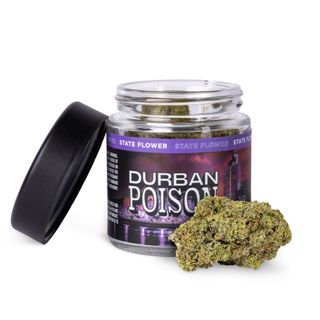 Durban Poison State Flower