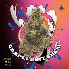 Grapefruit Chem Sour Family Farms