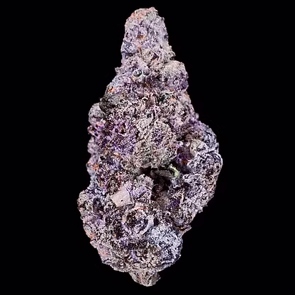 Cannabis Promo, Cannabis Sales, Cannabis Discounts, Cannabis on Sale, 30% OFF Flora, ZIP & Khalifa Kush 2