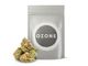 Rainbow Chip Ozone Rainbow Chip Ozone