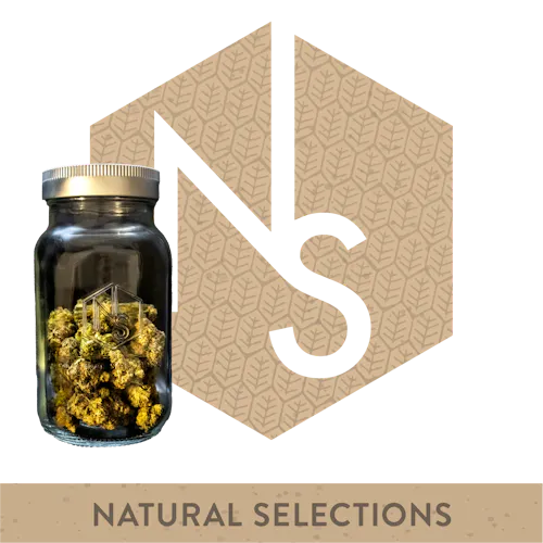 Zsunami #22 Natural Selections Zsunami #22 Natural Selections