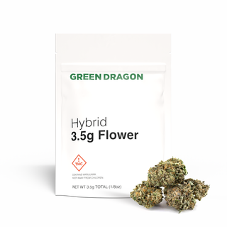 Thundersnow Green Dragon