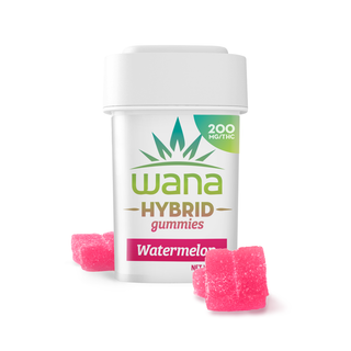 Watermelon Gummy product