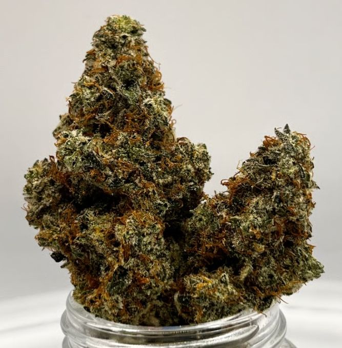 Rare Michigan Genetics Cadbury OG Deli Style Flower, 1g