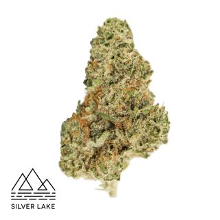 C13 Haze Silver Lake