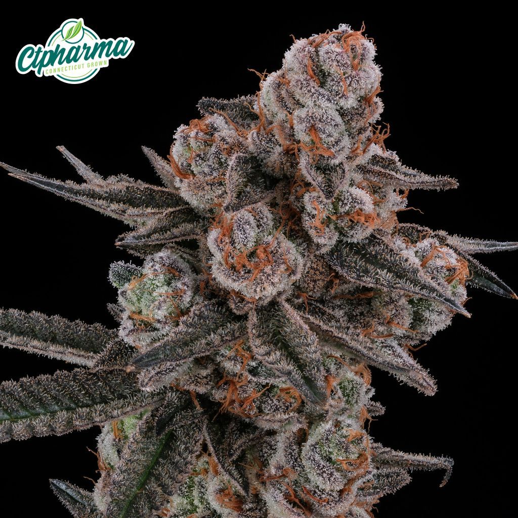 CTPharma Glitter Bomb Flower, 3.5g