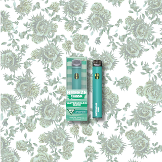 Watermelon Wave Rechargeable Breeze Canna