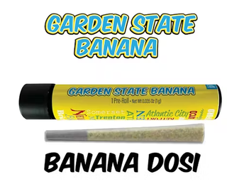 Banana Sugar Peel Garden State Banana