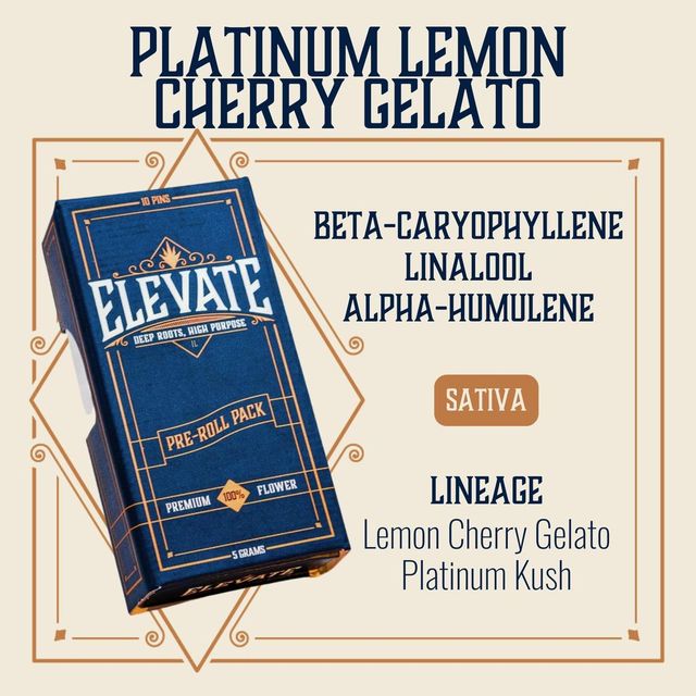 Platinum Lemon Cherry Gelato Elevate