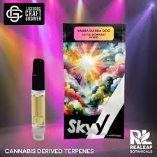 Yabba Dabba Doo Skyy