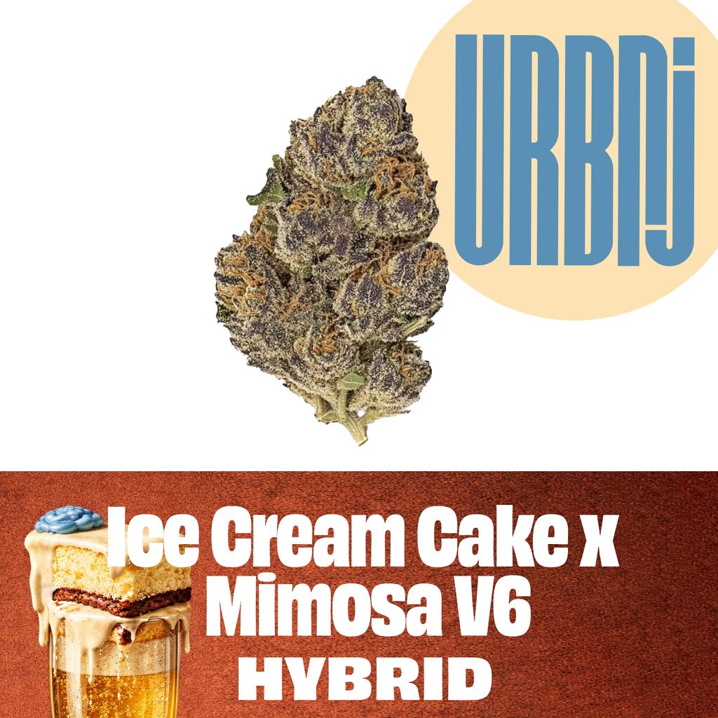 Ice Cream Cake x Mimosa V6