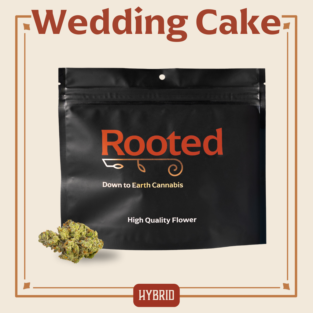 Rooted Pinnacle Popcorn 28g