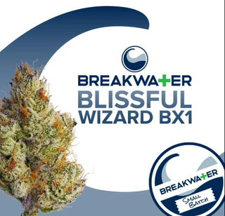 Blissful Wizard BX1 | 3.5g Flower Breakwater