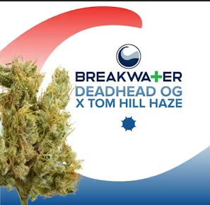 Deadhead OG x Tom Hill Haze | 3.5g Flower Breakwater