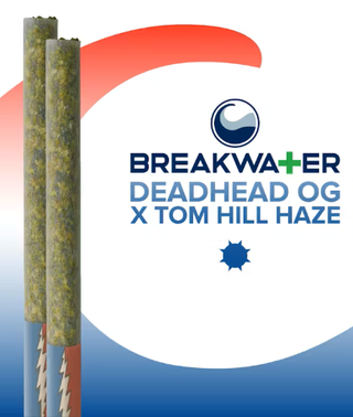 Deadhead OG x Tom Hill Haze | 1g Pre-Rolls Breakwater