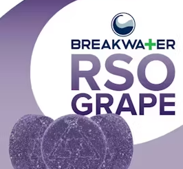 Grape | 100mg 10Pk RSO Gummies Breakwater