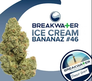 Ice Cream Bananaz #46 | 3.5g Flower Breakwater