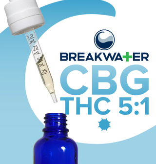 MCT | 100mg Tincture Breakwater