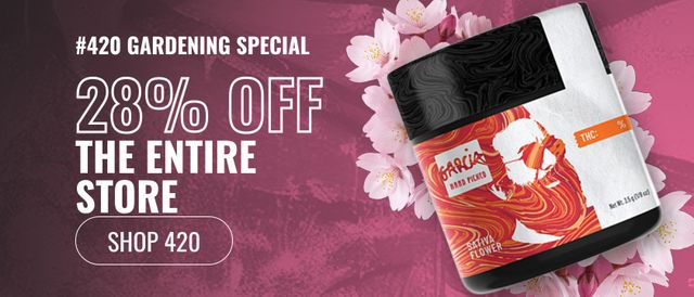 Cannabis Promo, Cannabis Sales, Cannabis Discounts, Cannabis on Sale, 28% off the entire store