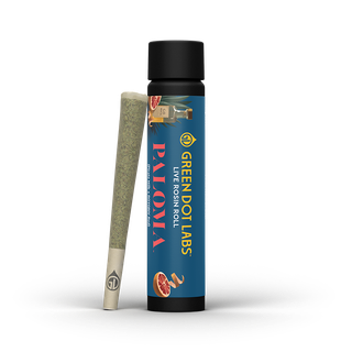 Paloma x Paloma product