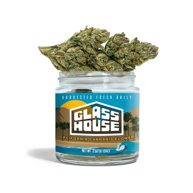 Hank's Dank Glass House