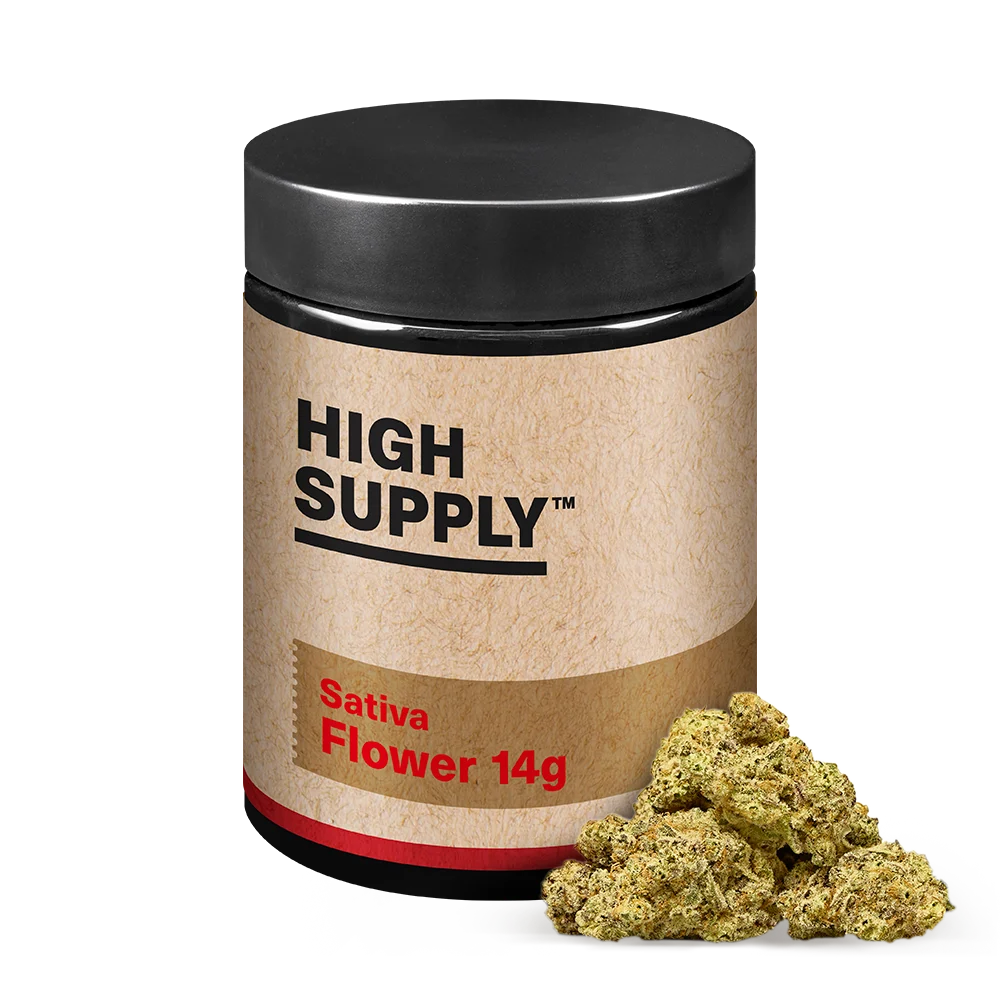 Mango Mintality High Supply Mango Mintality High Supply