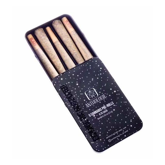 Purple Punch Anthologie