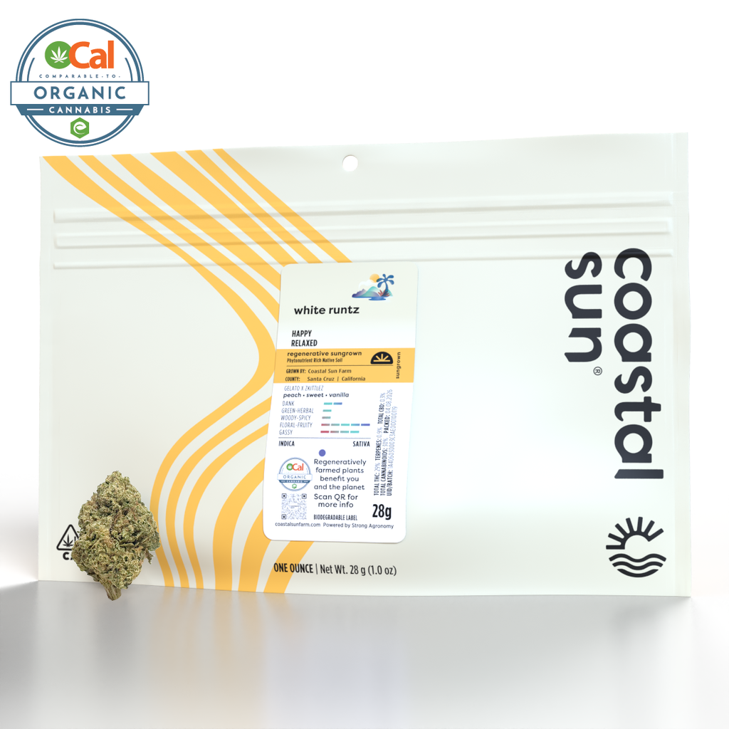Coastal Sun: White Runtz