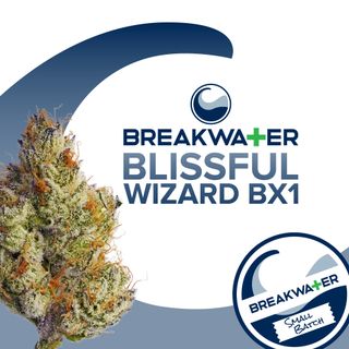 Blissful Wizard BX1 | 3.5g Flower Breakwater