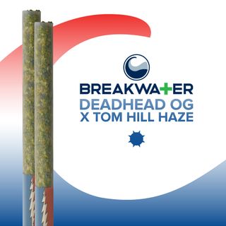 Deadhead OG x Tom Hill Haze | 1g Pre-Rolls Breakwater
