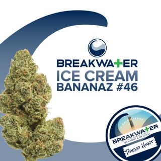 Ice Cream Bananaz #46 | 3.5g Flower Breakwater