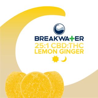 Lemon Ginger | 100mg Gummies Breakwater