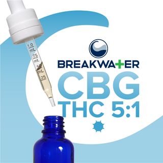 MCT | 100mg Tincture Breakwater