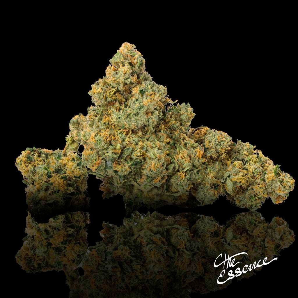 (the) Essence Apricot Stomper Whole Flower, 3.5g