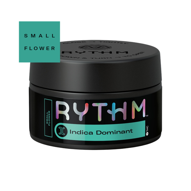 (Animal Scout #10) Rythm