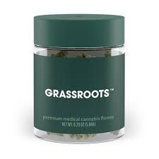 Mad Rabbid #5 Grassroots
