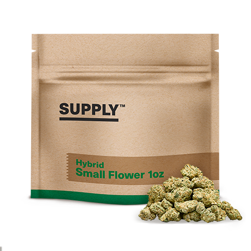 Director's Cut Supply™