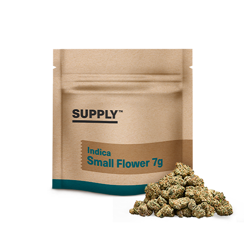 Rainbow Beltz Supply™
