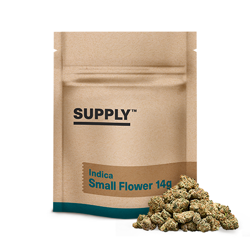 WC Watermelon Z Supply™