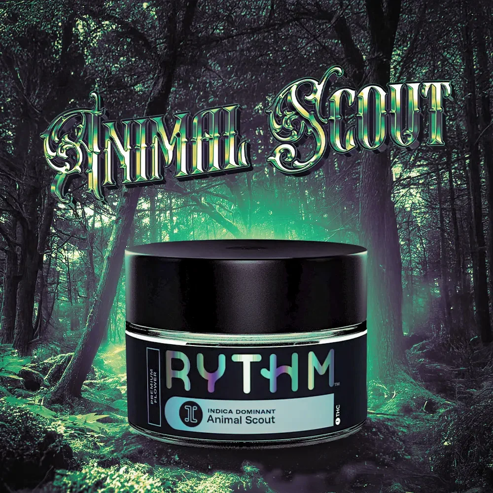 Animal Scout #10 product