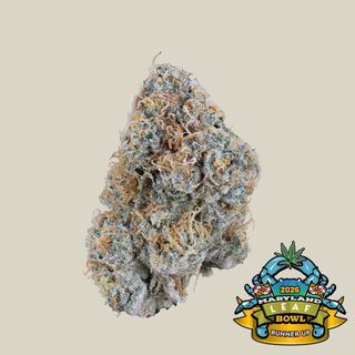 Skywalker 11 Kind Tree