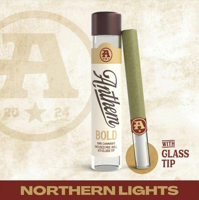 Northern Lights Anthem Bold