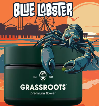 Blue Lobster | 14g Flower Grassroots Blue Lobster | 14g Flower Grassroots