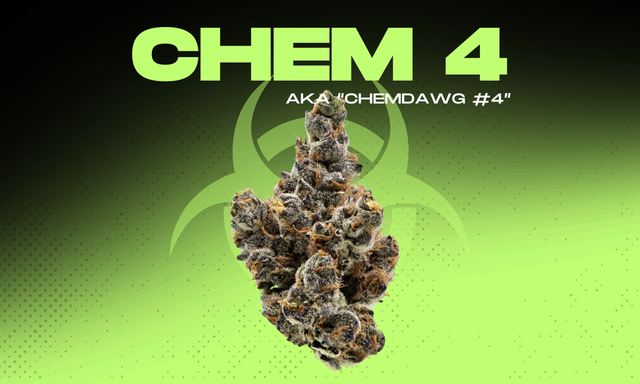 Chem 4 Legacy