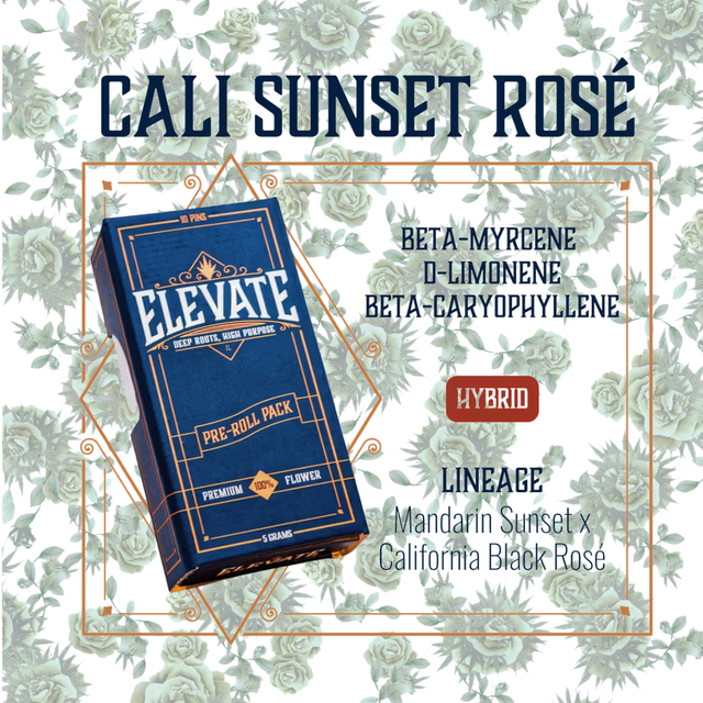 Cali Sunset Rosé Elevate