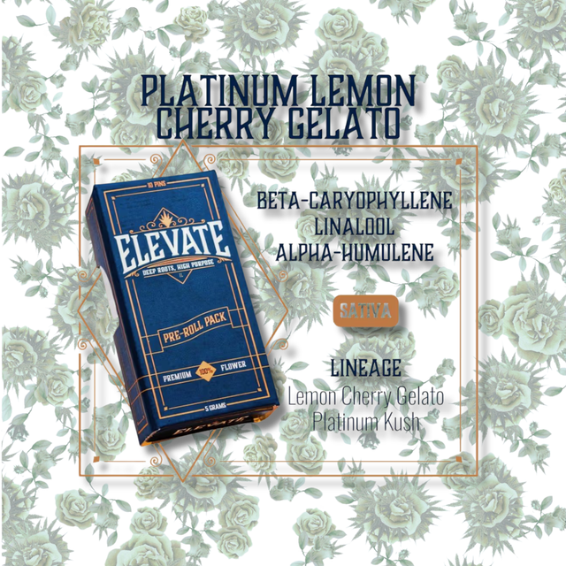 Platinum Lemon Cherry Gelato Elevate