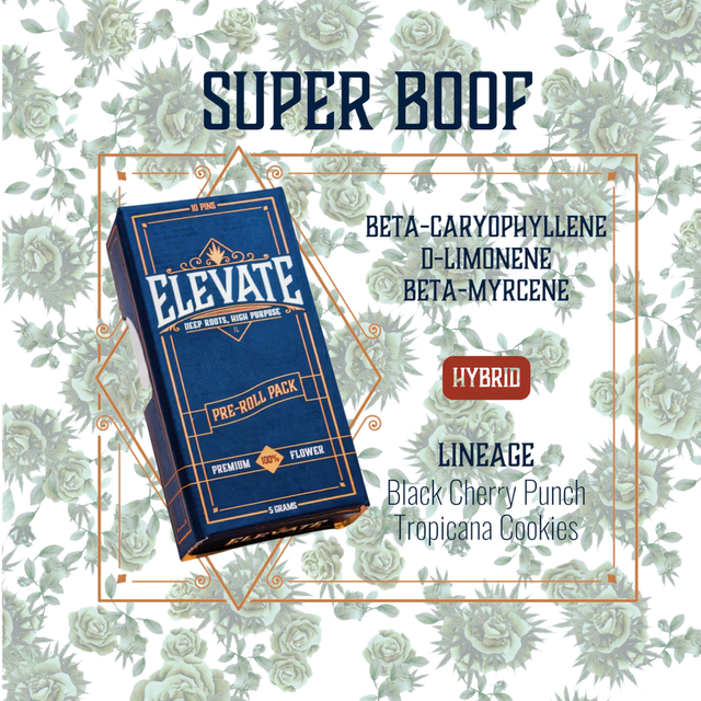 Super Boof Elevate
