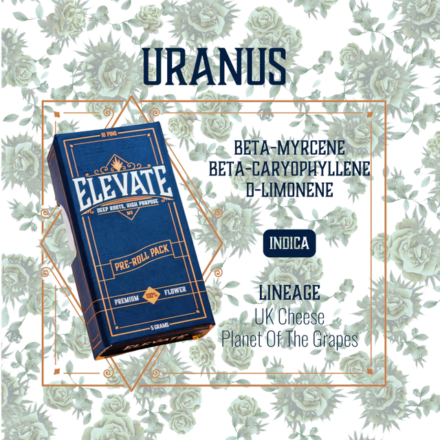 Uranus Elevate