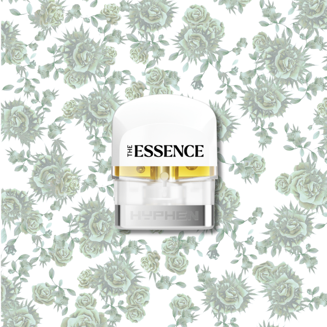 Gelato (the) Essence