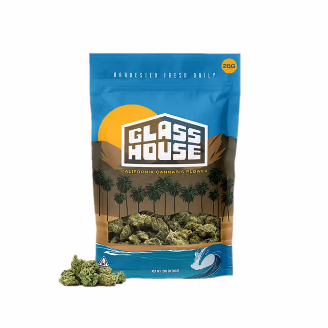 Mafia Funeral Glass House